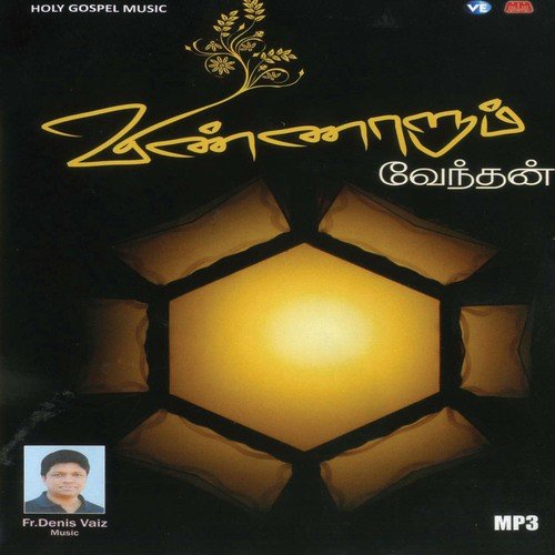 Vinnor Magizhndhu - Various Artists