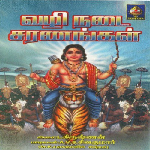 Vazhi Nadai Gosham - A.V.S. Sivakumar