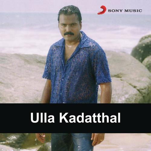 Thathi Thathi Thaavum - Bharadwaj