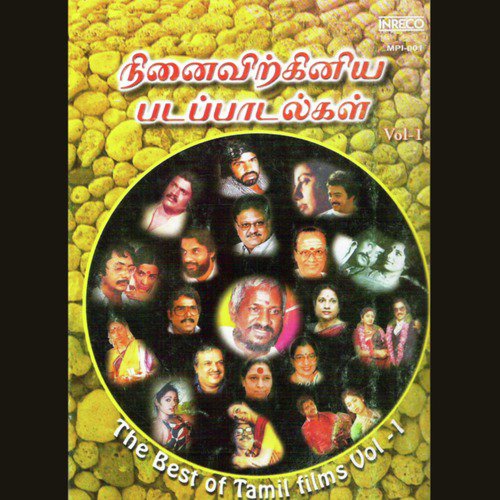 Selvame (From Amarakaviyam) (Female Vocals) - Various Artists