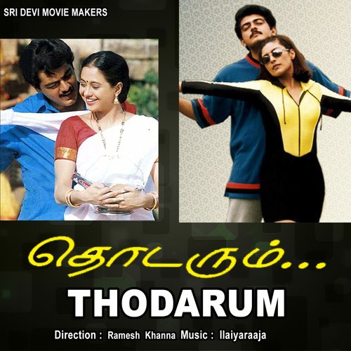 Naan Thaan Mappilai - Ilaiyaraaja