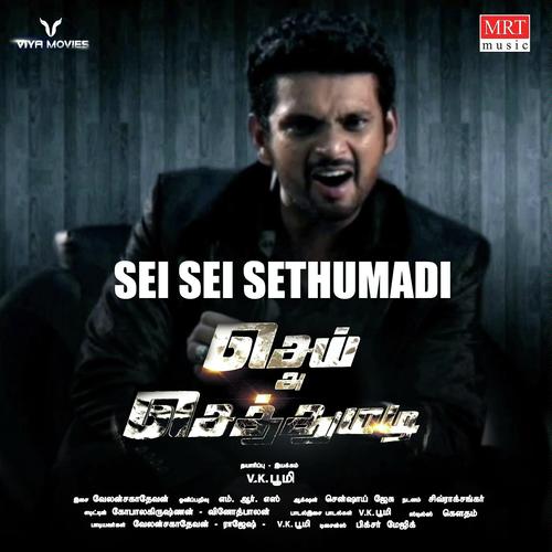 Sei Sei Sethumadi - V.K.Bhoomi