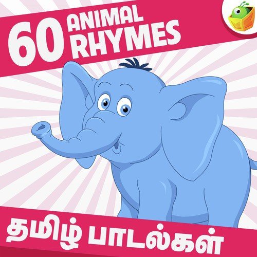 Yaanai Onnu Ange Varudhu - Saindhavi, Surmukhi