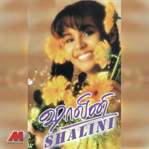 Hey Auto - Pop Shalini