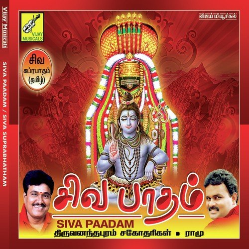 Om Namasivaya Om - Various Artists
