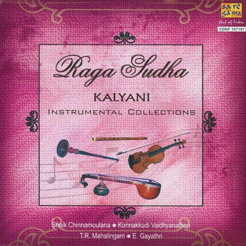 Himaadrisuthe Kunnakkudi Vaidyanathan - Various Artists
