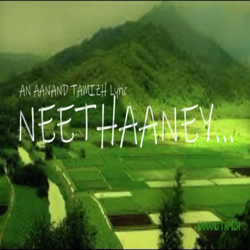 Neethaaney - Aanand Tamizh