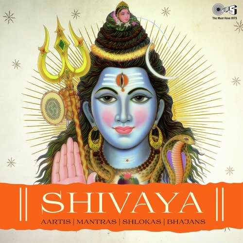 Satyam Shivam Sundaram - Anuradha Paudwal, Bhushan Dua