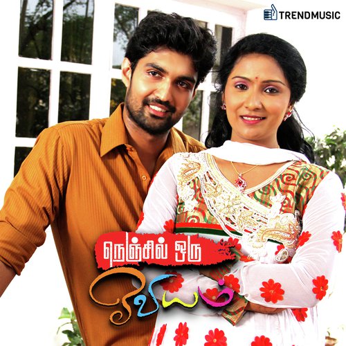 Kaadhal Vaasal - Stephen Roy
