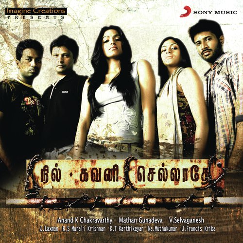 Paarvai Undhan - V. Selvaganesh