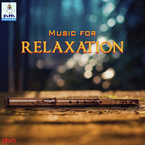 Vechos of Nature Instrumental - U. Pramod, Nandu Gopalan, Thyagaraju, Praveen Mohan