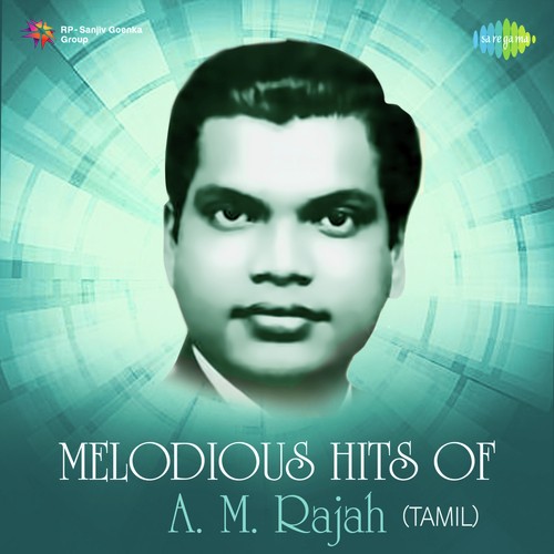 Brindha Vanamum (From Anbu) - Various Artists