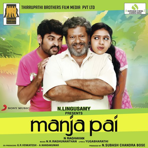 Paathu Paathu - N.R. Raghunanthan