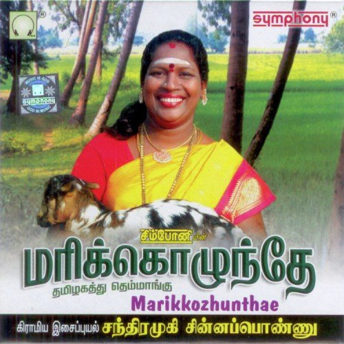 Vaasalukku - Various Artists