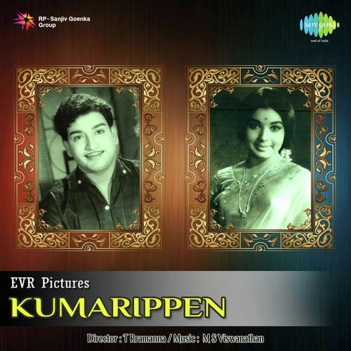 Yaaro Aadatherinthavar Yaaro - M. S. Viswanathan