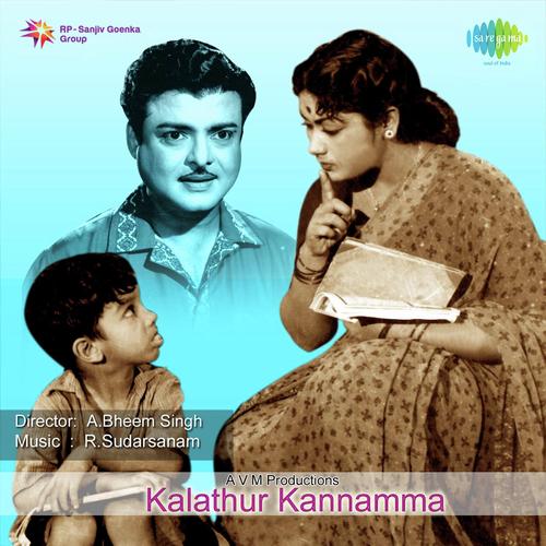 Buthimaan Balavaan - R. Sudarsanam