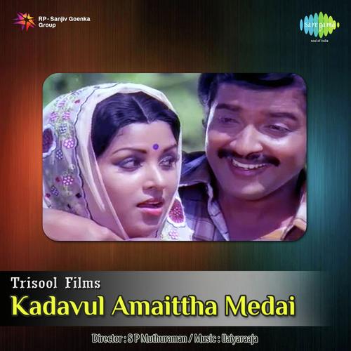 Vaanil Parakum Paaravai - Ilaiyaraaja