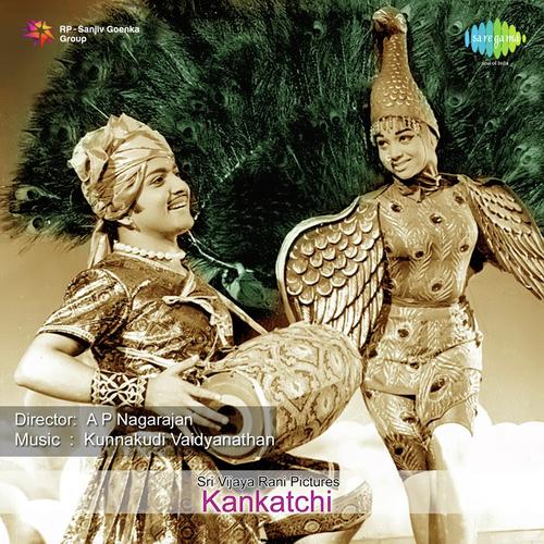 Kaadai Pidippom - Kunnakudi Vaidyanathan