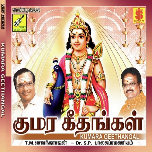 Ponnalagu Thirumarbil - Various Artists