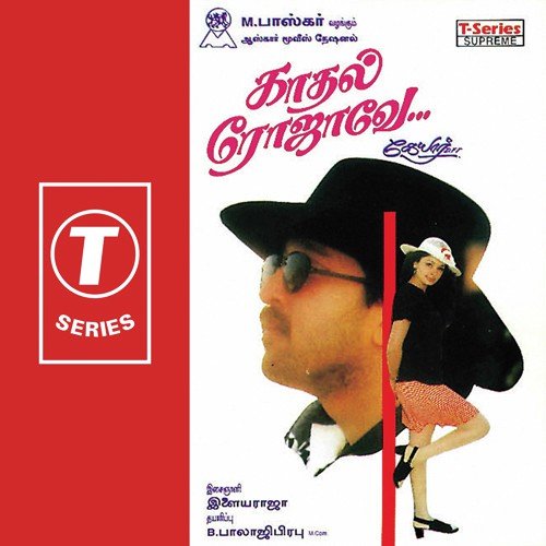 Manam Poonaa - Ilaiyaraaja