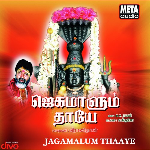 Aayaram Per Kondavale - D.V. Ramani