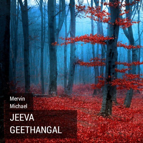 Vaanathil Thontridum - Mervin Michael
