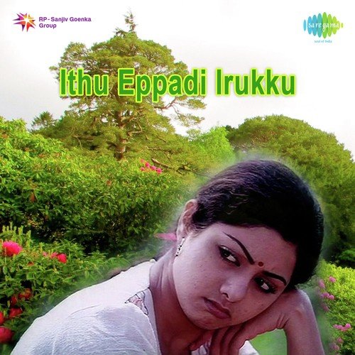 Engum Niraindho - Ilaiyaraaja