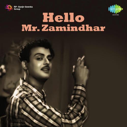 Hallo Mr.Zamindar - Viswanathan-Ramamoorthy