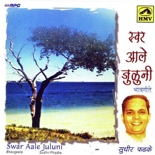 Dislis Too Phulale Ritu - Sudhir Phadke