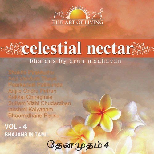 Suttam Vizhi Chudardhan - Arun Madhavan