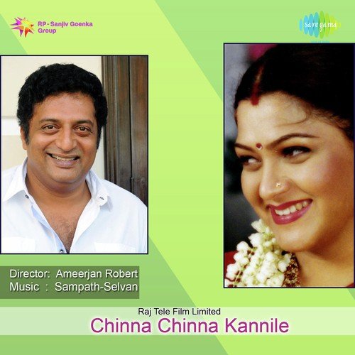 Chinna Chinna Kannile - Sampath Selvan