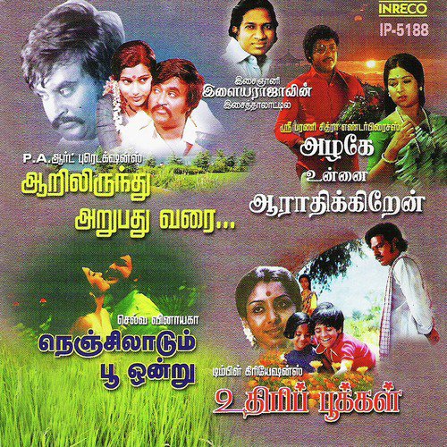 Aan Pillai Endralum (From Aarilirunthu Arupathu Varai) - Ilaiyaraaja
