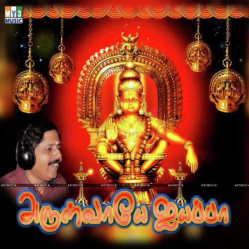 Swamiye - Various Artists