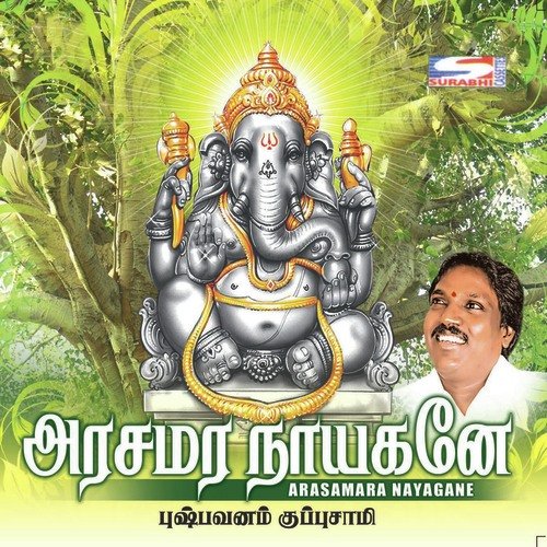 Omkara Nadhane - Pushpavanam Kuppusamy