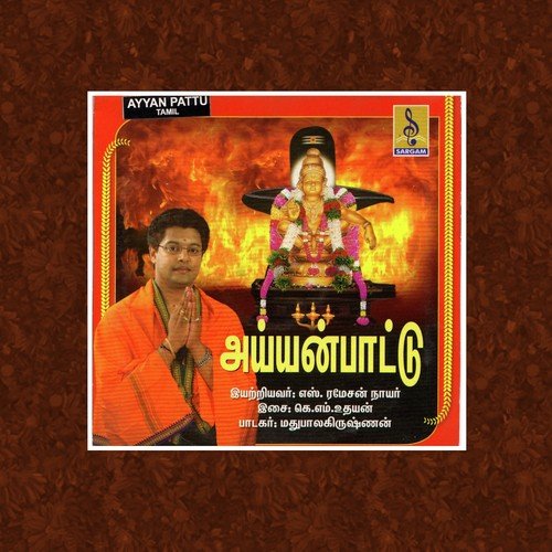 Pambe Nadi Oru - Madhu Balakrishnan