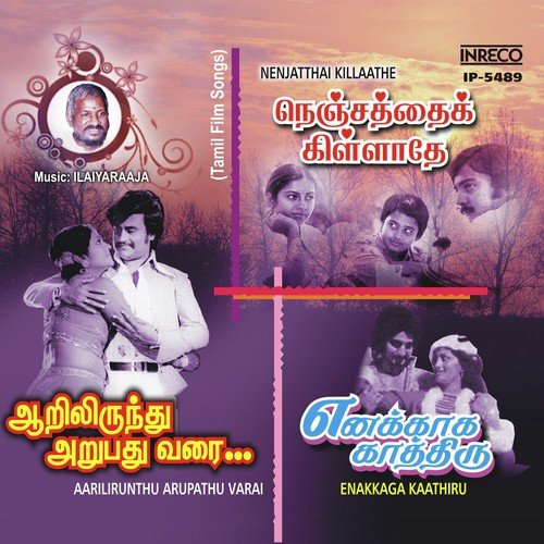 Aan Pillai Endralum - Ilaiyaraaja