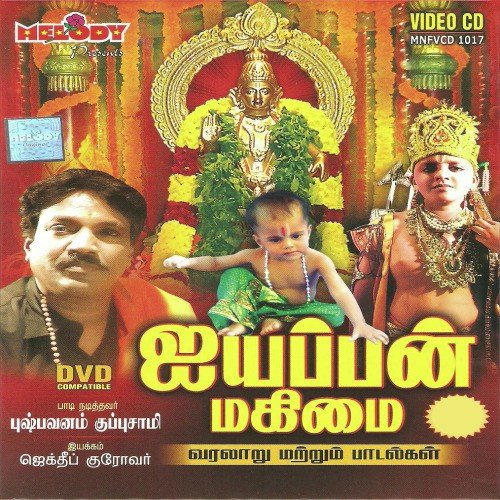 Swami Saranam - Various Artists