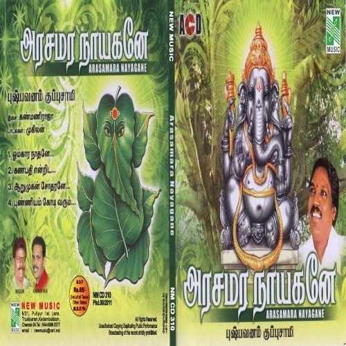 Ganapathi Enrida - Pushpavanam Kuppusamy