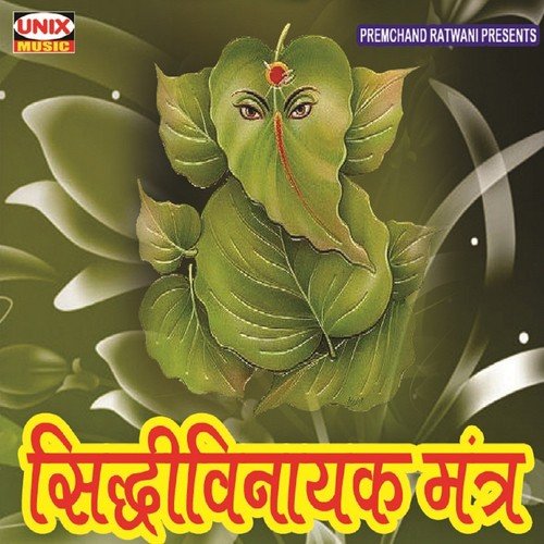 Siddhi Vinayak Mantra, Pt. 2 - Rajesh Dubey, Rajesh Mishra