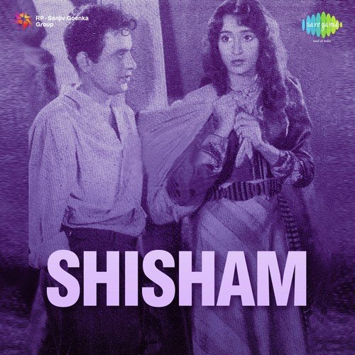 Meri Nazren Pocketmaar - Roshan