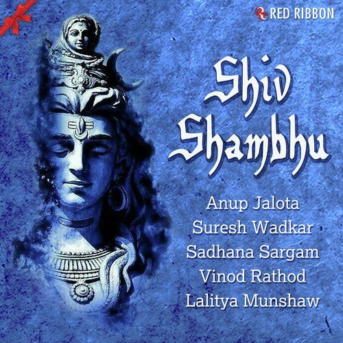 Om Namah Shivay - Lalitya Munshaw