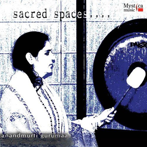 The Gap - Anandmurti Gurumaa