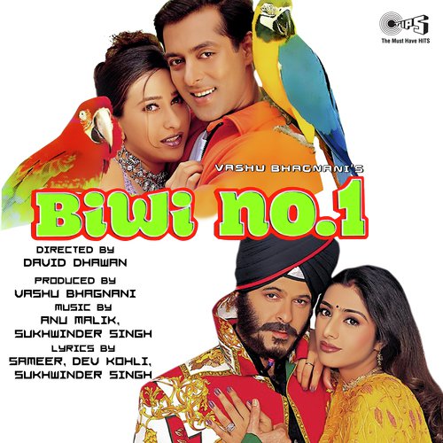 Mehboob Mere - Anu Malik, Sukhwinder Singh