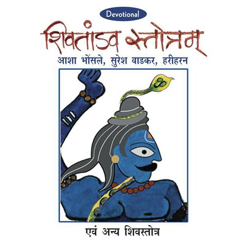Shiv Panchakshar Stuti - Various Artists