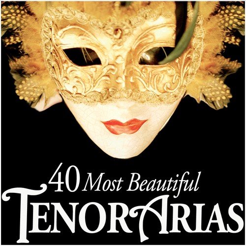 Cos fan tutte K588  Act 2 In qual fiero contrasto... Tradito, schernito dal perfido cor Ferrando - Various Artists