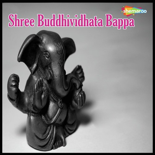 Tumhari Kripa Humpe - Vandit Chhadva, Miten Chhadva
