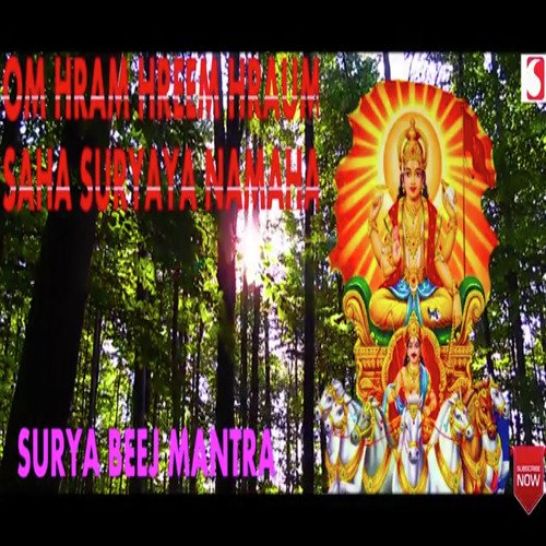 Surya Beej Mantra - Siddharth Shankar Shrivastav