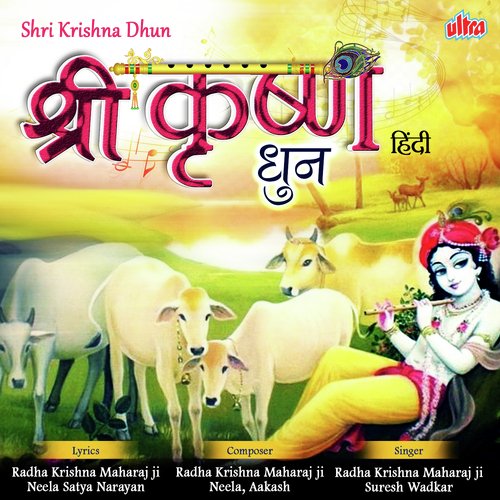 Jay Jay Shri Radhe - Shri Radhakrishnaji Maharaj, Suresh Wadkar