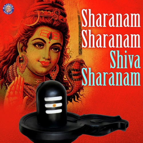 Om Namah Shivaya - Various Artists