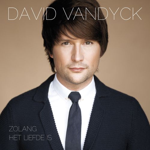 Zolang Het Liefde Is - David Vandyck